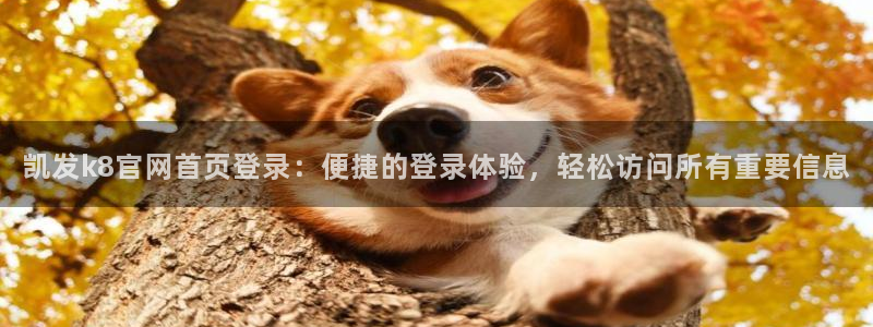 聚彩体育官网注册：凯发k8官网首页登录：便捷的登录体验，轻松访问所有重要信息