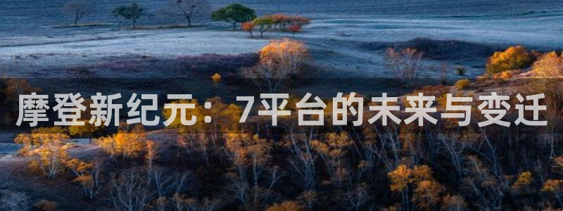 聚彩2登录：摩登新纪元：7平台的未来与变迁