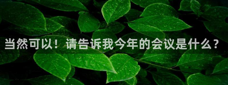 聚彩4官网：当然可以！请告诉我今年的会议是什么？