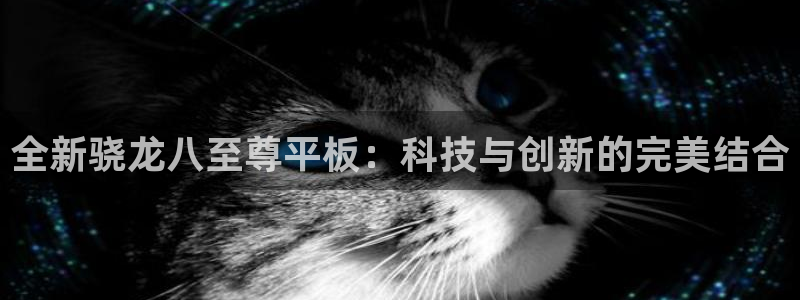 聚彩平台官网：全新骁龙八至尊平板：科技与创新的完美结合