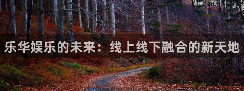 聚彩2平台登录：乐华娱乐的未来：线上线下融合的新天地