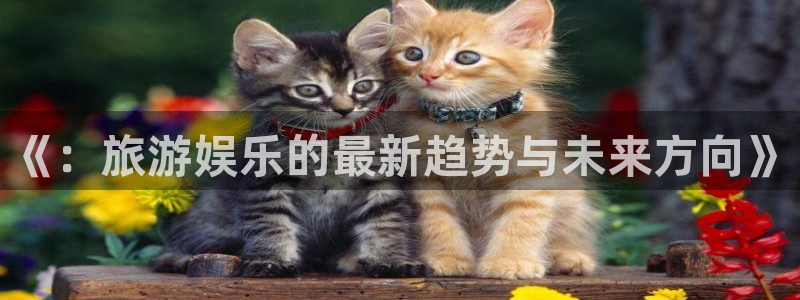 聚彩招商