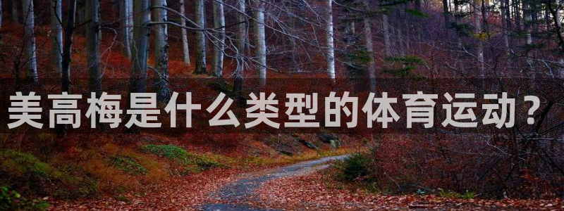 聚彩体育官网注册：美高梅是什么类型的体育运动？