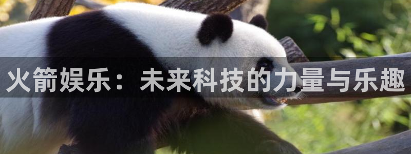 聚彩体育热门赛事有哪些：火箭娱乐：未来科技的力量与乐趣