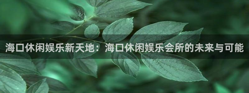 聚彩体育用品：海口休闲娱乐新天地：海口休闲娱乐会所的未来与可能