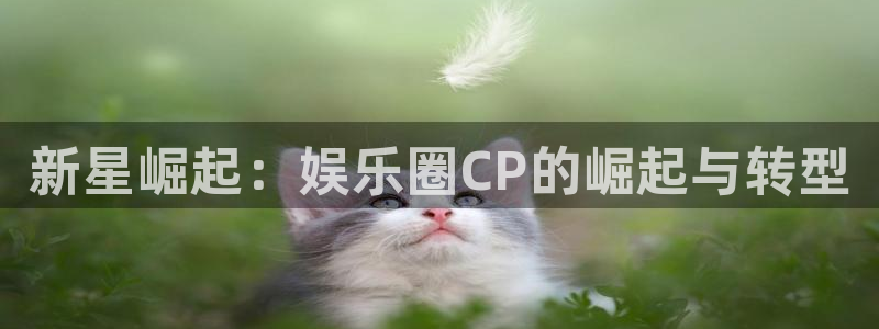 聚彩3官网：新星崛起：娱乐圈CP的崛起与转型