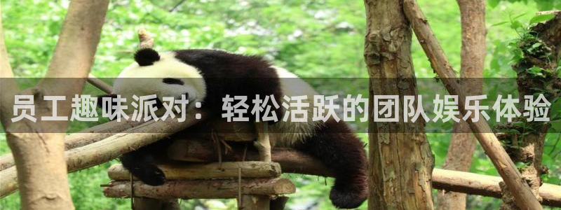 聚彩平台开户链接：员工趣味派对：轻松活跃的团队娱乐体验