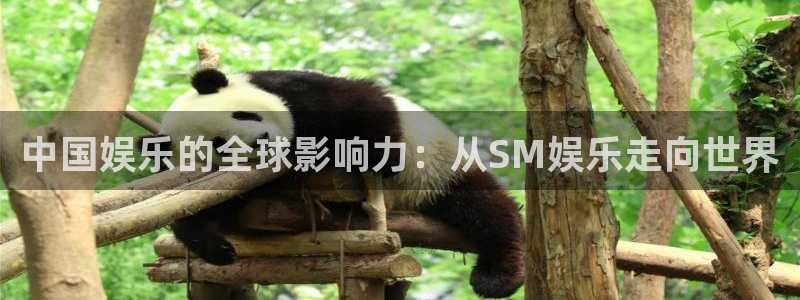 聚彩f平台注册：中国娱乐的全球影响力：从SM娱乐走向世界