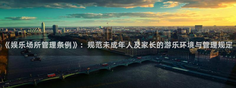 聚彩电子有限公司：《娱乐场所管理条例》：规范未成年人及家长的游乐环境与管理规定