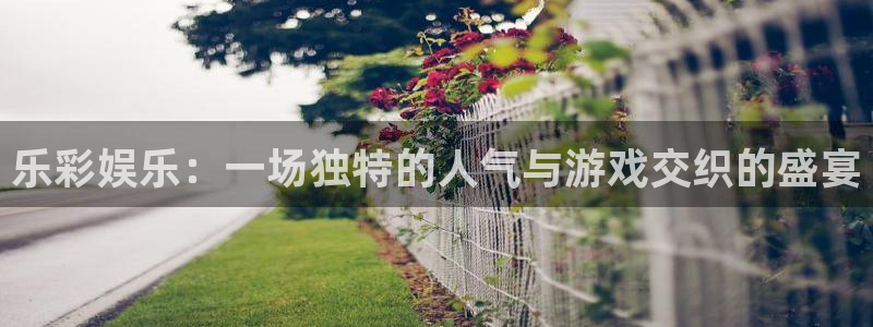 聚彩平台在线开户