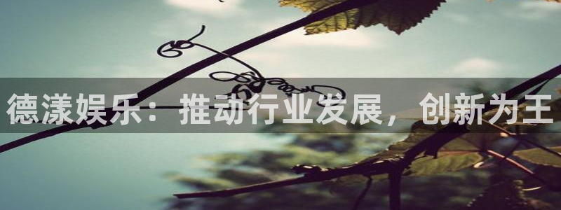 聚彩体育凯捷平台注册：德漾娱乐：推动行业发展，创新为王