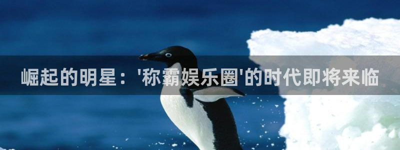 聚彩体育官网入口登录：崛起的明星：\'称霸娱乐圈\'的时代即将来临