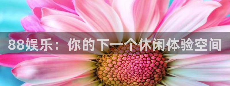 聚彩能源：88娱乐：你的下一个休闲体验空间
