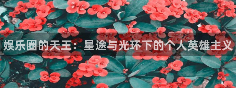 聚彩体育凯捷平台招商：娱乐圈的天王：星途与光环下的个人英雄主义